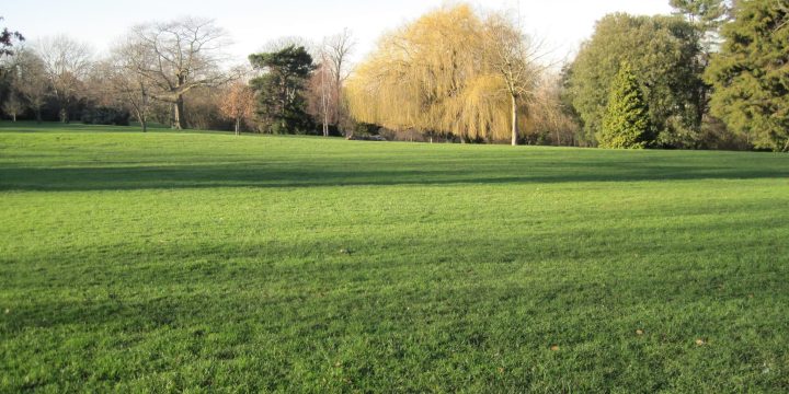 Springfield_Park