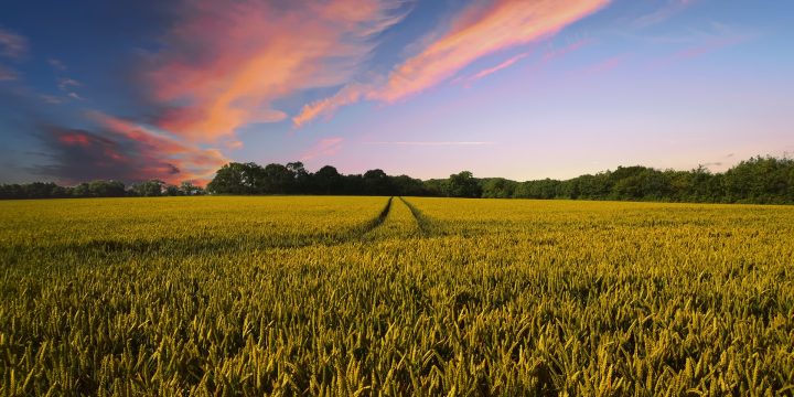 countryside