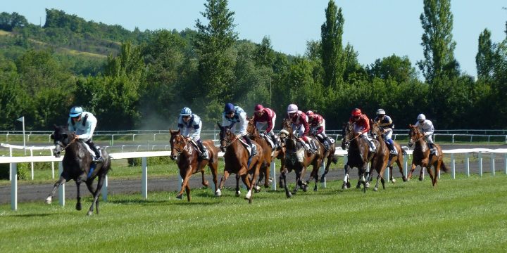 horse-race-1665688_1920