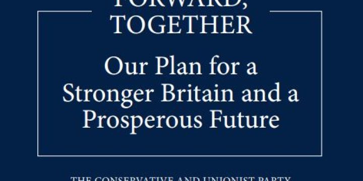 tory manifesto
